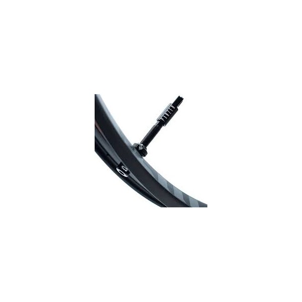 Valves Panzer black (paire)