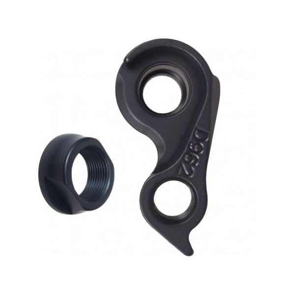 Derailleur Hanger...