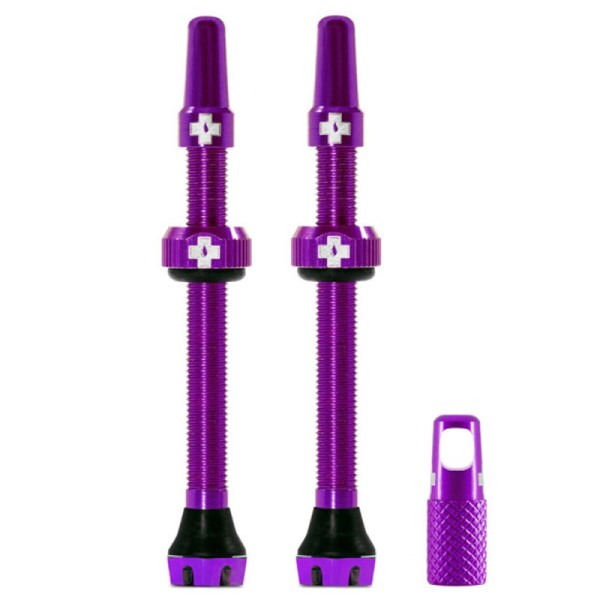 Kit de valves tubeless V2...